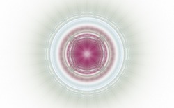 2014 04 30 Webs and Things 08-white.jpg